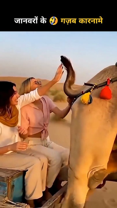 janwaronke gajab karname 161 _ funny video #shorts #comedy