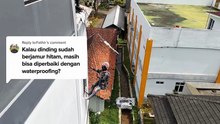 Kalau Dinding Sudah Berjamur Hitam, Masih Bisa Diperbaiki Dengan Waterproofing || Jasa Waterproofing