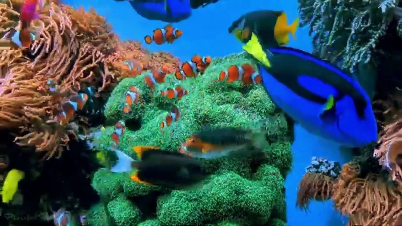 BLUE HEAVEN