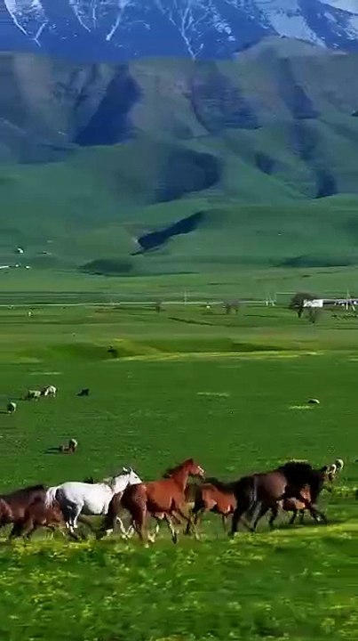 VID-20260313-WA0004