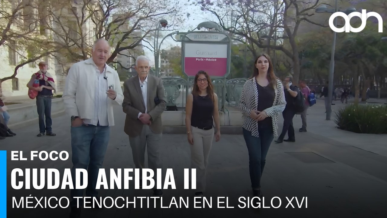 Ciudad Anfibia ll | El Foco