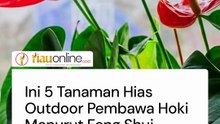 Menarik Rezeki dan Keberuntungan ke Rumah, Ini 5 Tanaman Hias Outdoor Pembawa Hoki Menurut Feng Shui