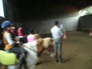 Grâce : Chevalier d'Or sute