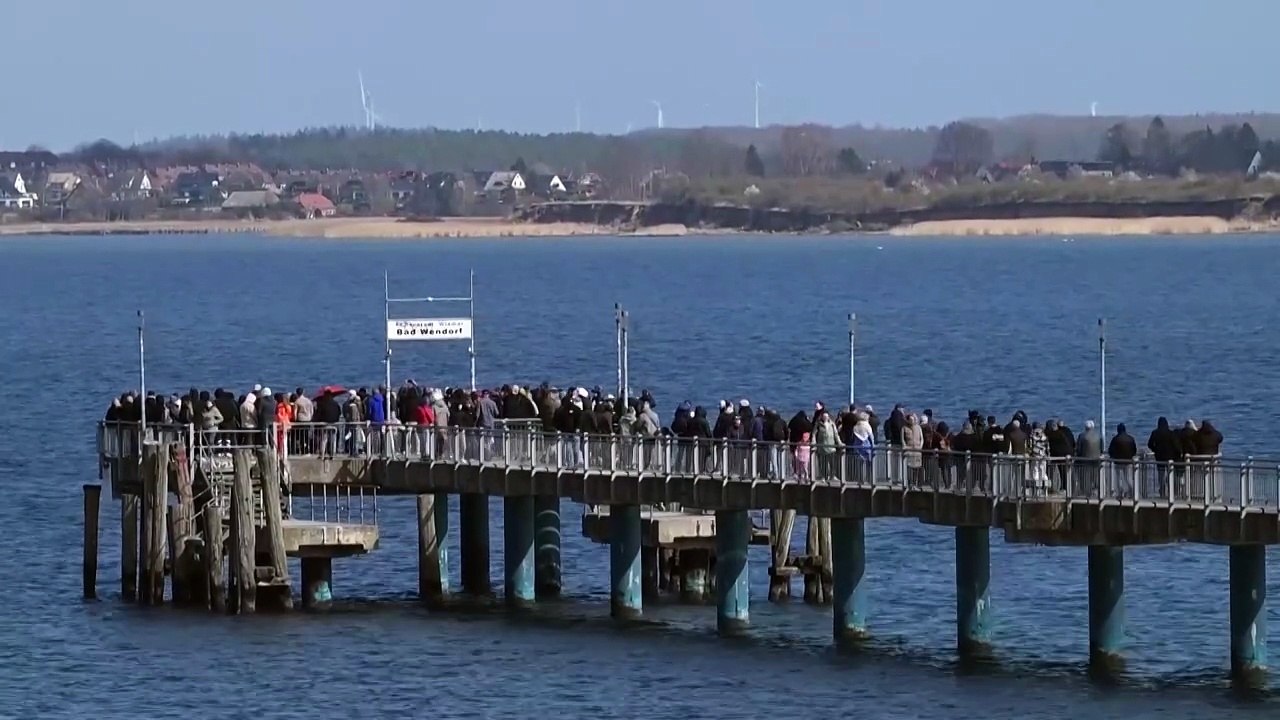 Humpback whale Timmy struggles to escape shallow waters