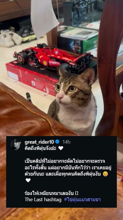 เกรท วรินทร โพสต์เศร้า น้องไข่ตุ๋น กลับดาวแมวแล้ว