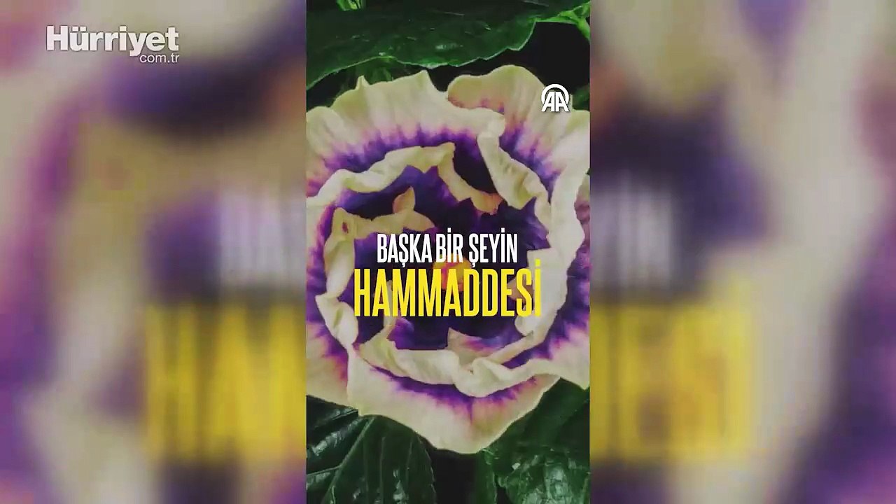 Emine Erdoğan'dan Uluslararası Sıfır Atık Günü paylaşımı