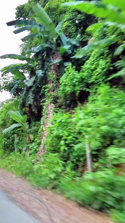 Bathchora View Point (ASMR) 08