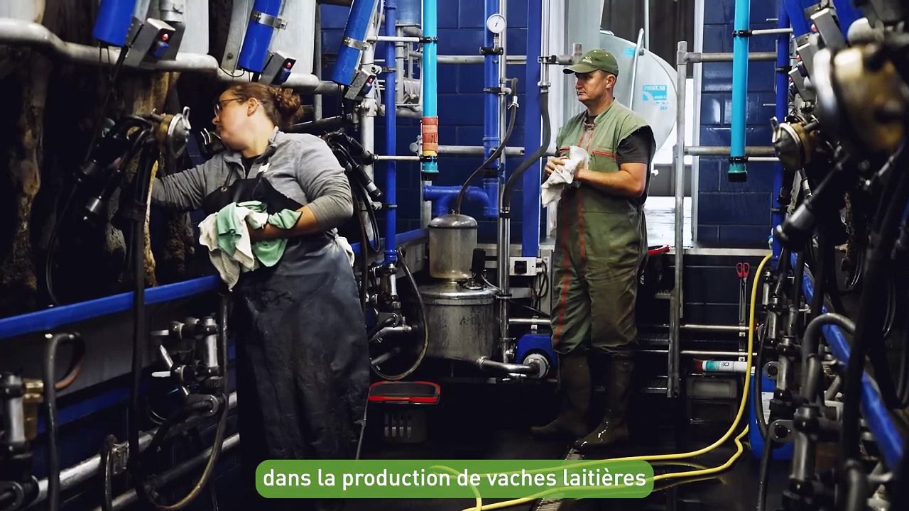 Métiers du vivant 974 - Elevage Vaches laitières - Laura Robert