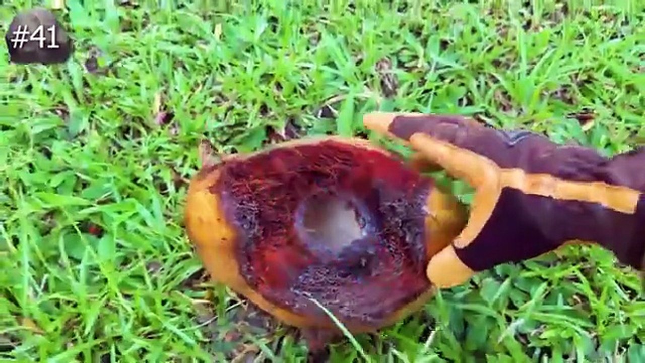 “I Flipped 100 Objects in Australia… And Found This 😳