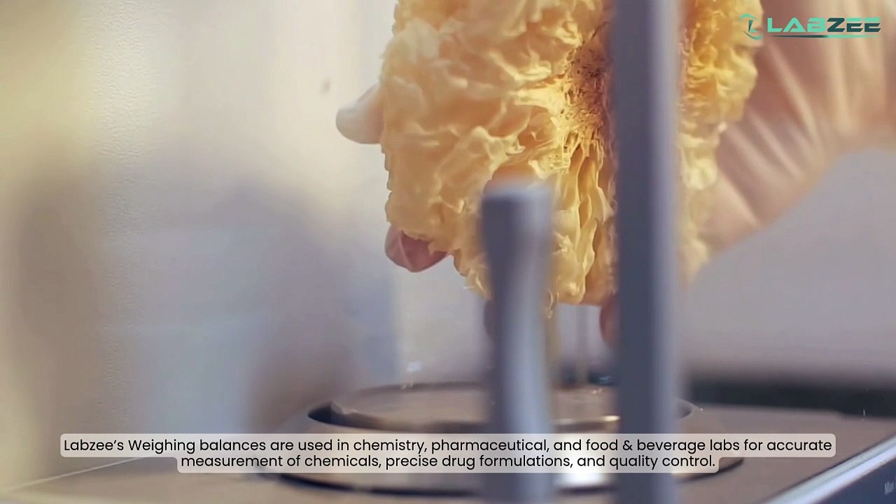 Labzee Weighing Balances: Accurate Measurements for Research & Testing