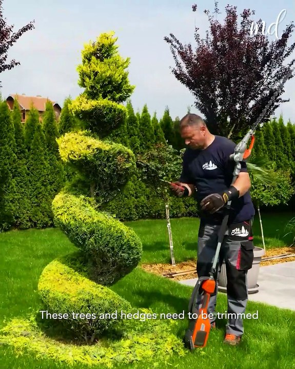 The satisfying journey of a garden makeover 🏡