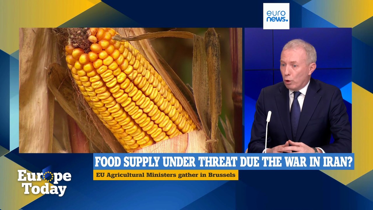 Ireland calls for carbon border tweaks amid fertiliser shortage in Euronews interview