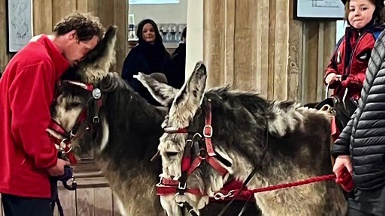 Tenby Palm Sunday Procession 2026 Photos by Roz Oak