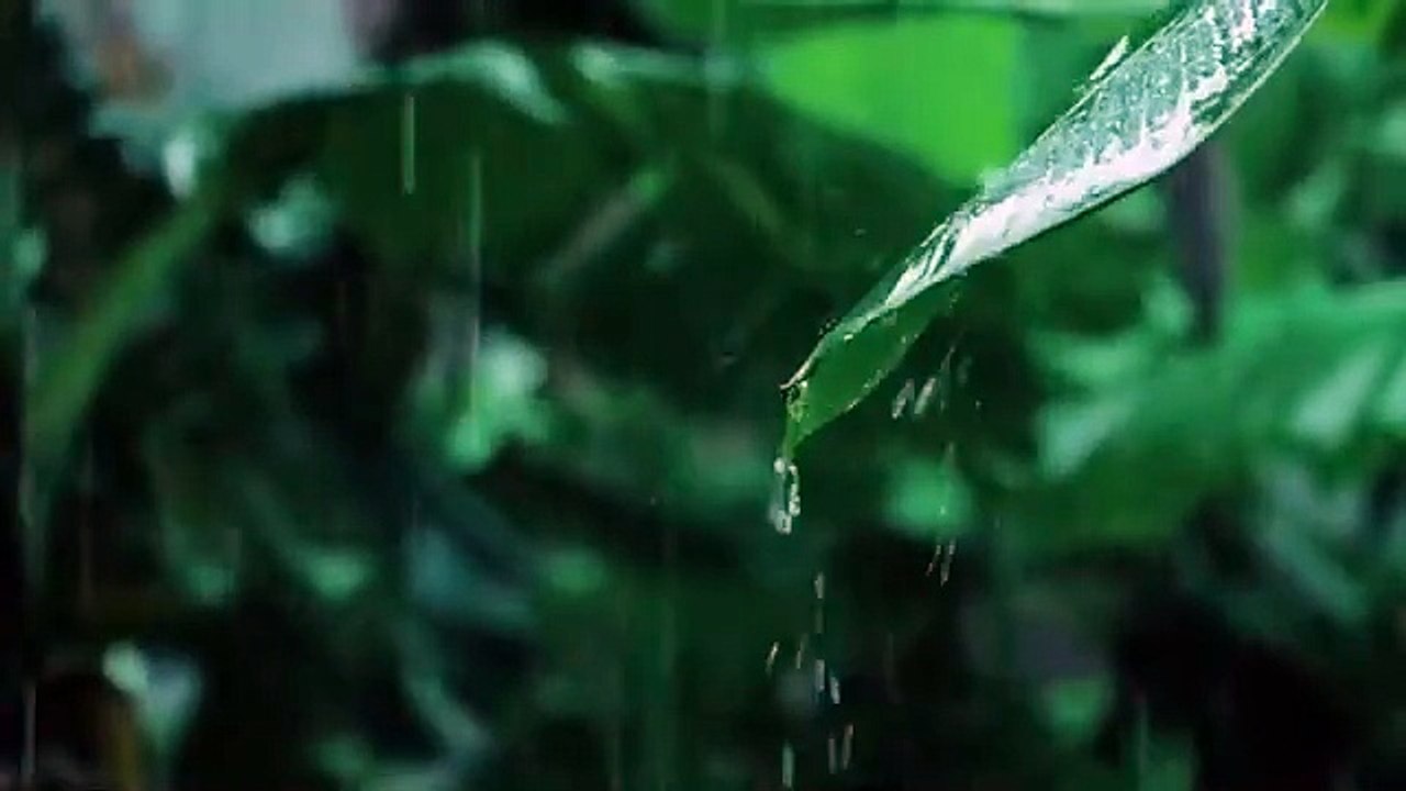 Heavy Rain and Thunderstorm Sounds for Deep Sleep _ Relax, Meditate & Unwind Fas