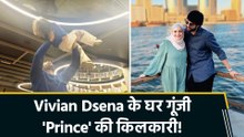Vivian Dsena ने शेयर की Good News, वाइफ Nouran Aly ने दिया बेटे को जन्म!
