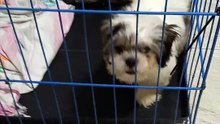 she is now 3months old