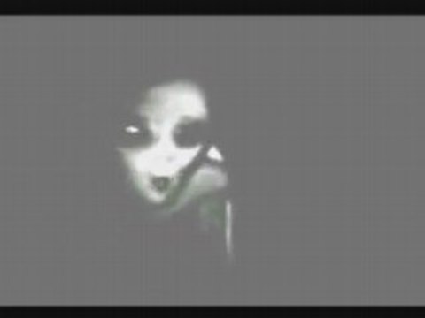 Extraterrestre gris FAKE ?