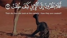 افلا ينظرون الى الابل كيف خلقت_الشيخ عبد الباسط عبد الصمد رحمه الله