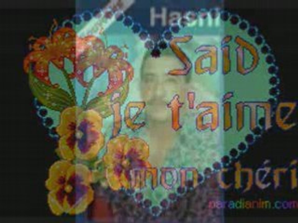 hasni brick mon amour