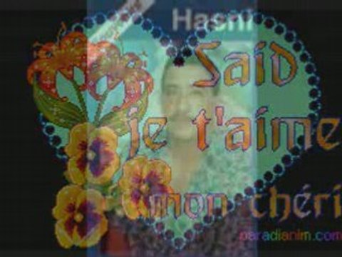 hasni brick mon amour