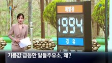 “비교적 저렴했는데”…기름값 급등한 고속도로 알뜰주유소, 왜?