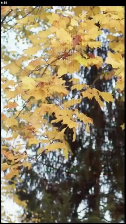 Watch Choose me forever and only