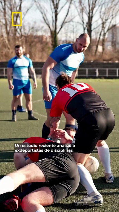 Practicar deportes de contacto puede afectar a tu cerebro… incluso años después de dejarlo