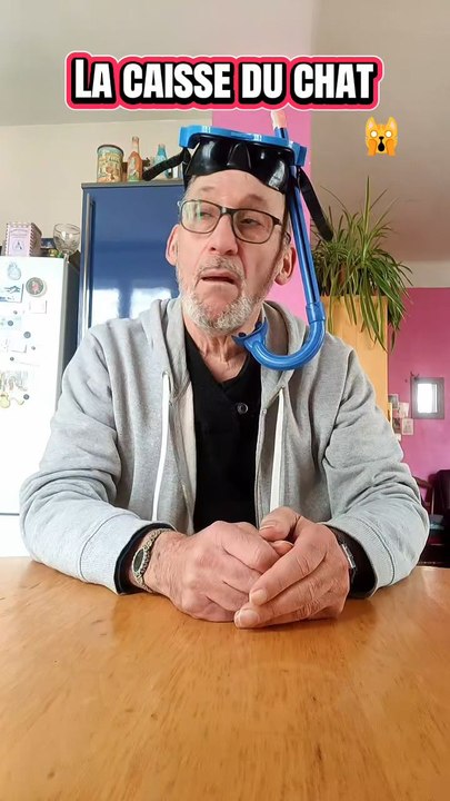 La caisse du chat 🐈