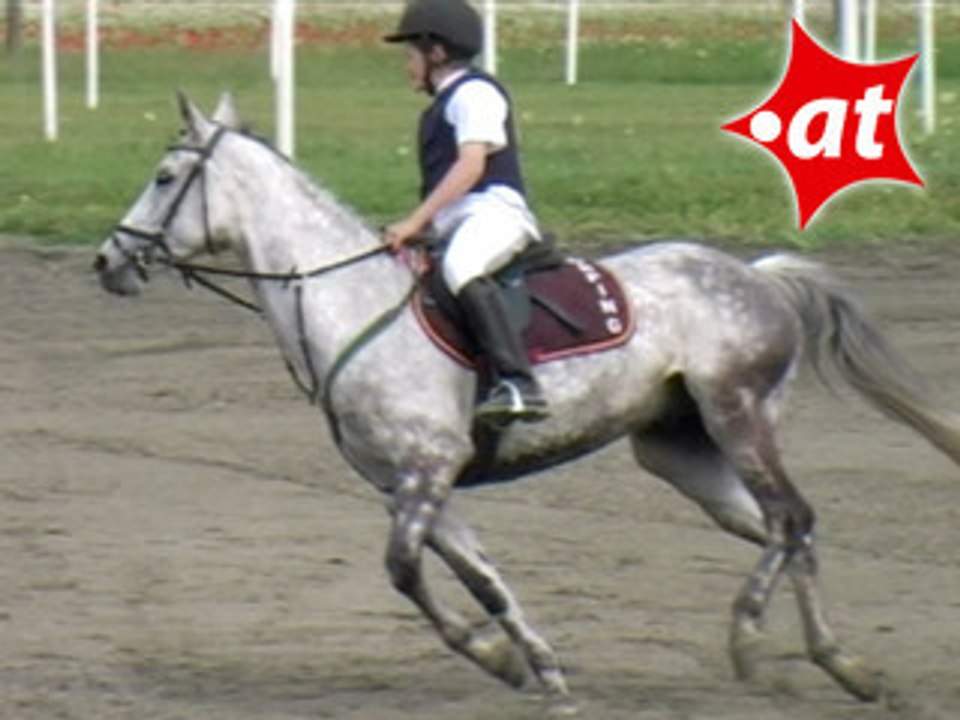 Vivian Bradler, Springreiten, Kottingbrunn (2008-032)