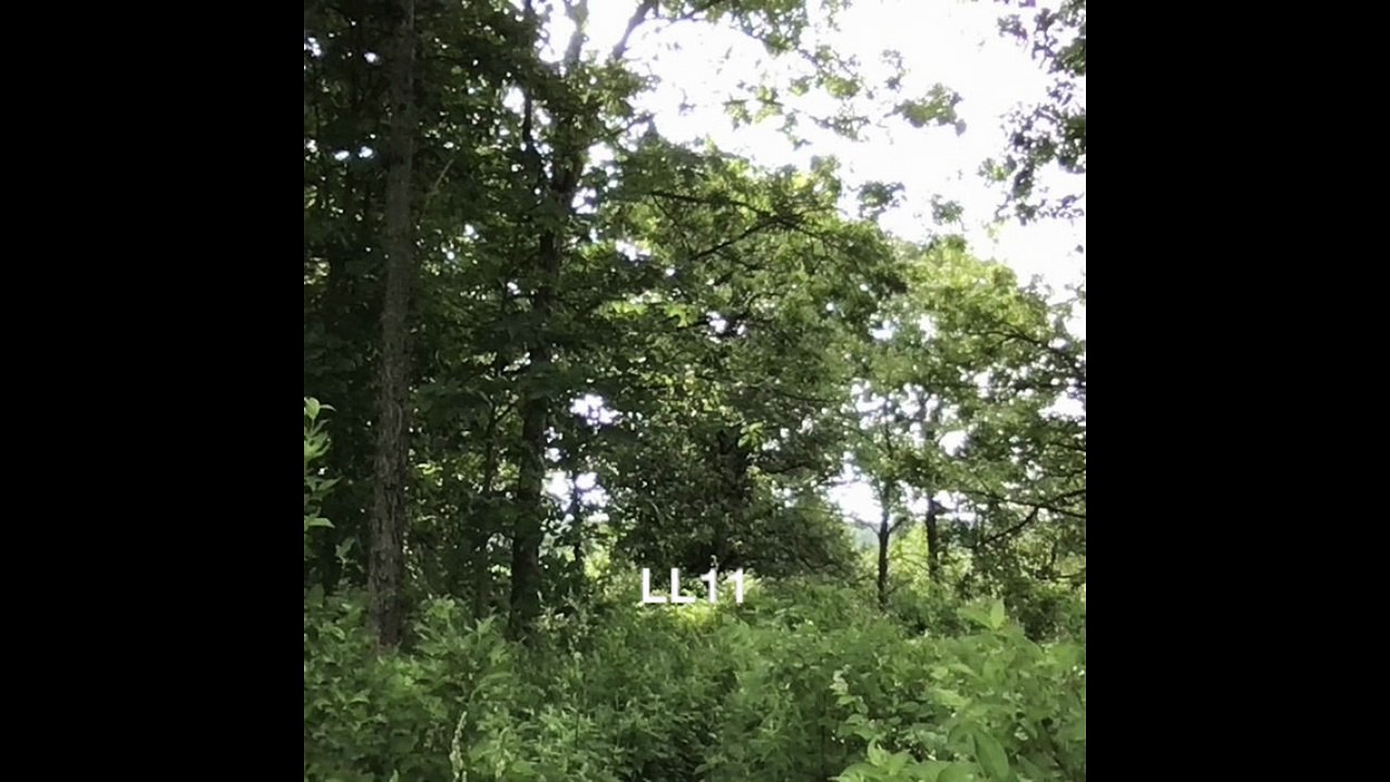 LL11