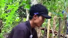 P2 - Thử Thách Sinh Tồn Trên Hoang Đảo- Bắt Lợn Rừng Và Lặn Biển - YouTube