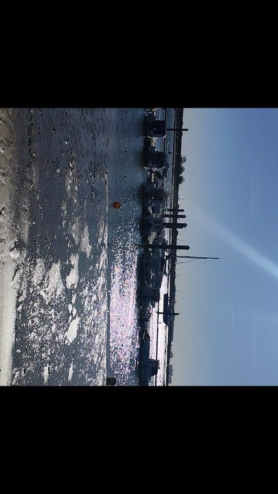 Port of Punta Umbría, Huelva, Spain, Andalusia 🇪🇦🌴