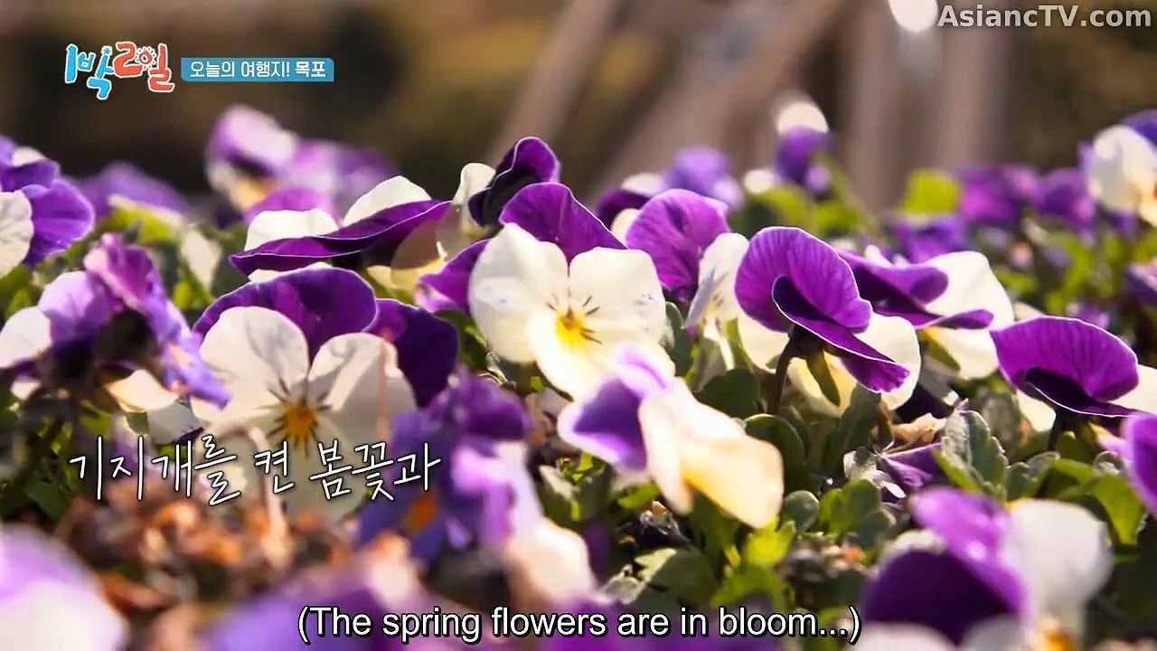 [ENG] EP.319 2 Days & 1 Night S4