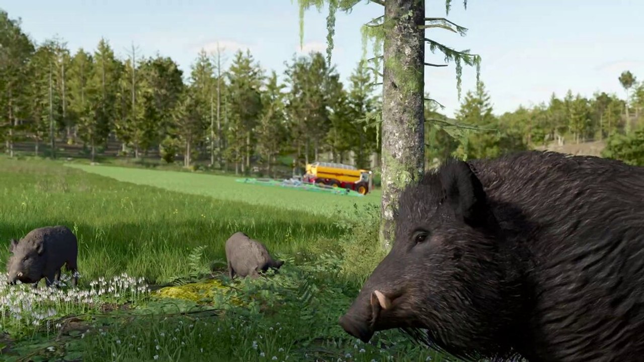 Im Landwirtschaftssimulator 25 ruinieren euch jetzt Wildschweine eure Ernte, wenn ihr nicht aufpasst