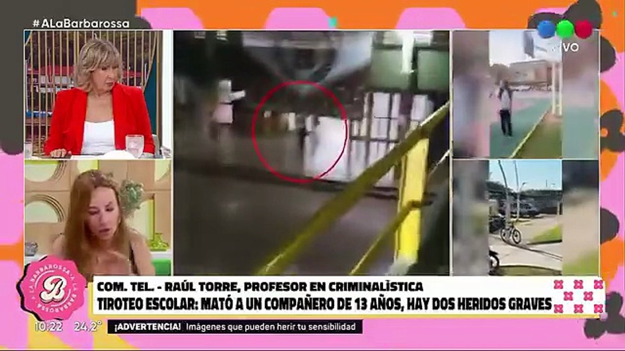 Analía Franchín simplificó la tragedia en Santa Fe , culpó a los padres de los chicos y afirmó: "El GTA está prohibido en mi casa"