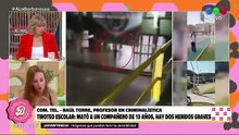 Analía Franchín simplificó la tragedia en Santa Fe , culpó a los padres de los chicos y afirmó: "El GTA está prohibido en mi casa"