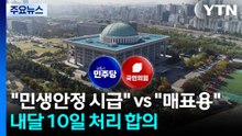 "민생안정 시급" vs "매표용"...내달 10일 처리 합의 / YTN