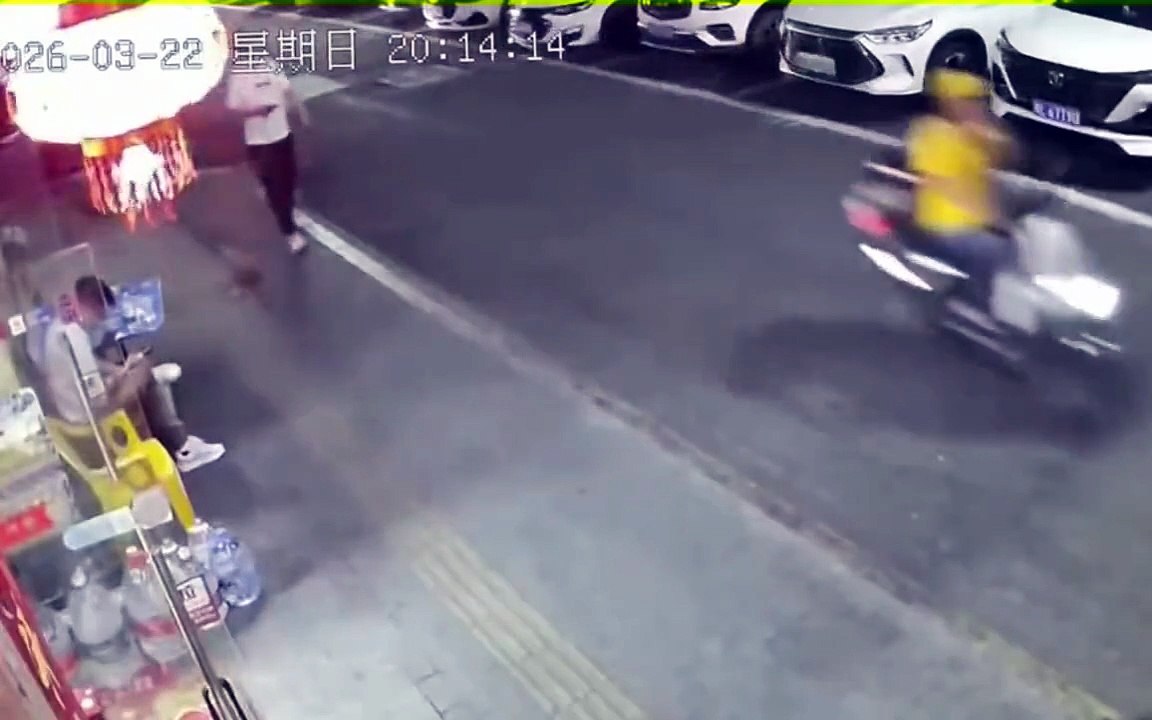 Quand tu croises un chat fou