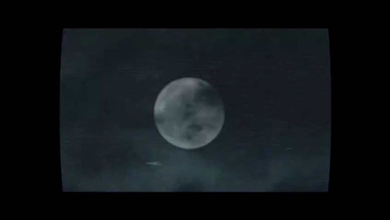 Bloody Axe Wound Trailer DF