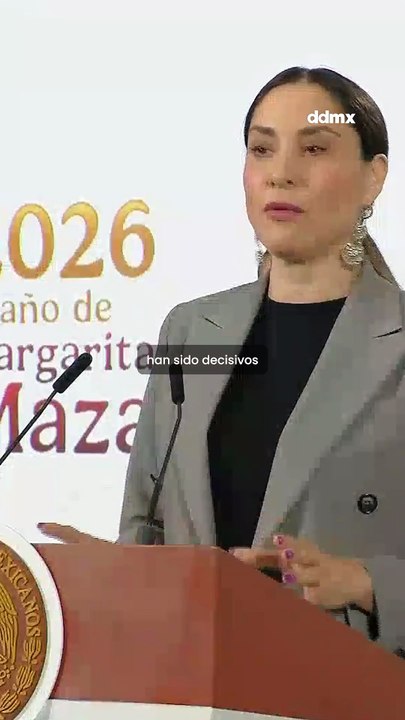Claudia Curiel aclara situación de la Colección Gelman