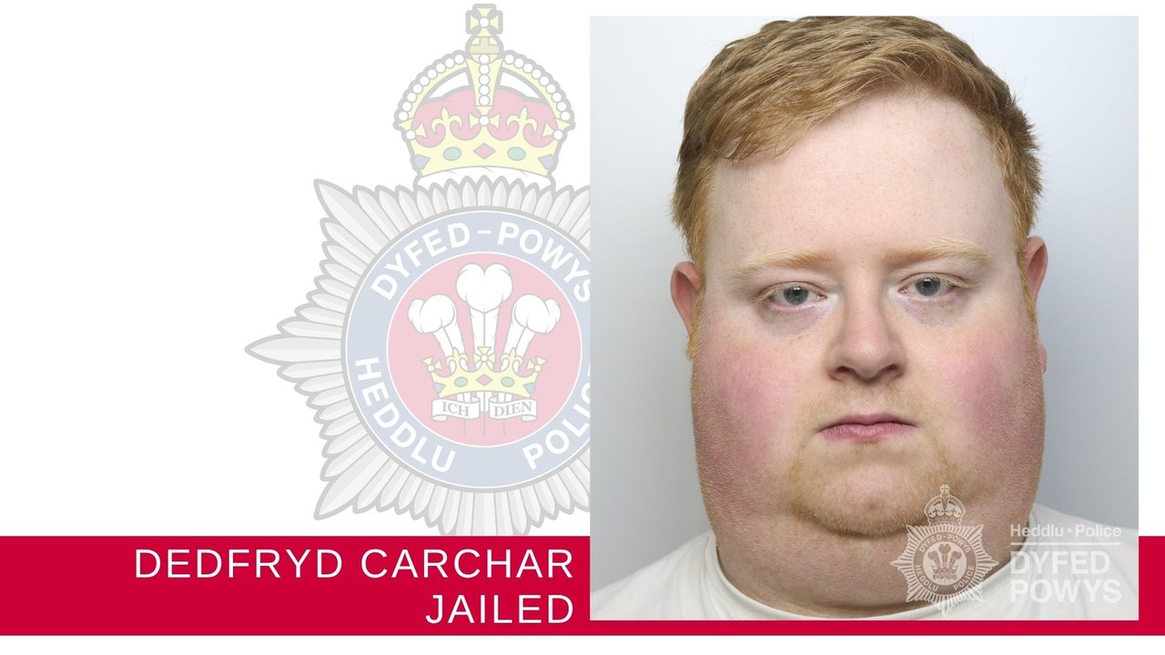 Carmarthenshire delivery driver jailed for fatal collision
