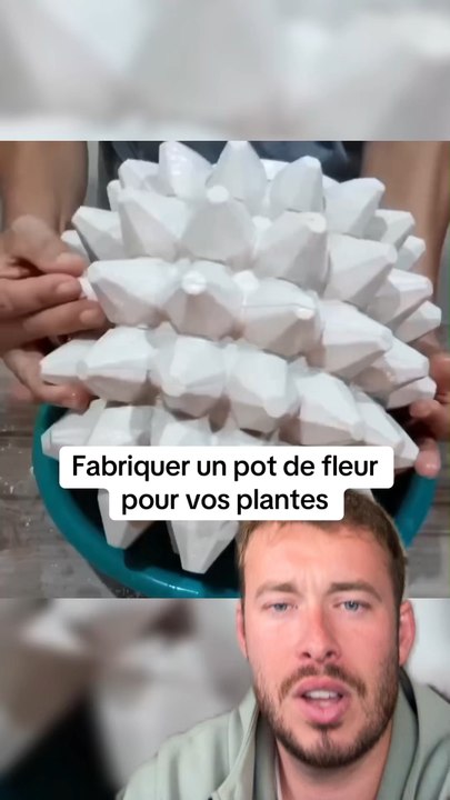 Vous aimez ?