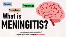 What is meningitis and why is it dangerous? Signs, Types, and Prevention