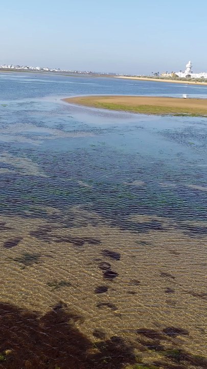 Isla Cristina Marshes 🌴🇪🇦
