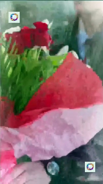 Almost Lover [Full Movie] [Hot 2026]Full EP - Full