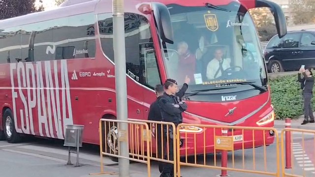 La Selección ya está en Barcelona para disputar su amistoso contra Egipto