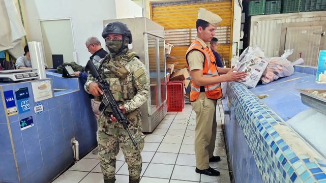 Aseguran tonelada de mariscos irregulares en Vallarta | CPS Noticias Puerto Vallarta