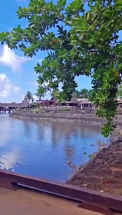 WhatsApp Video 2026-03-30 at 11.01.44 PM