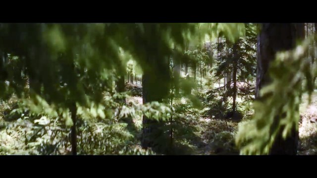 To Cook a Bear Streaming Gratis Stagione 1 Episodio 1 Streaming ITA HD Gratis 2025