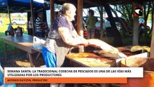 SEMANA SANTA LA TRADICIONAL COSECHA DE PESCADOS ES UNA DE LAS VÍAS MÁS UTILIZADAS